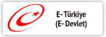 E-Devlet
